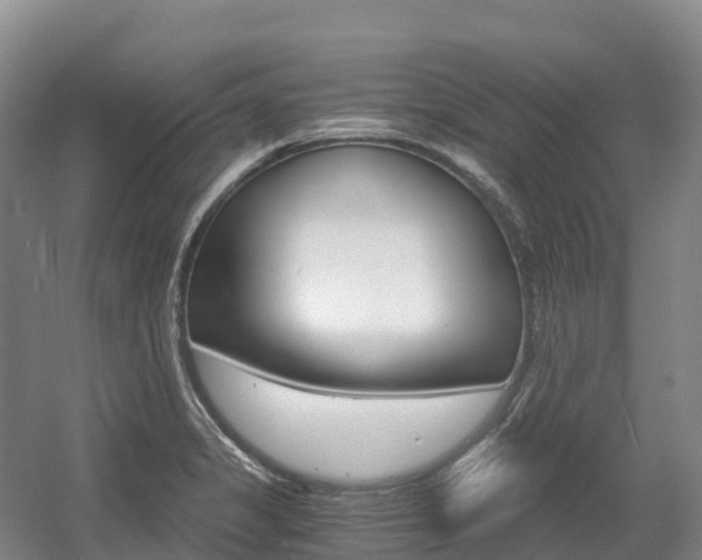 X0000055981325200508190719