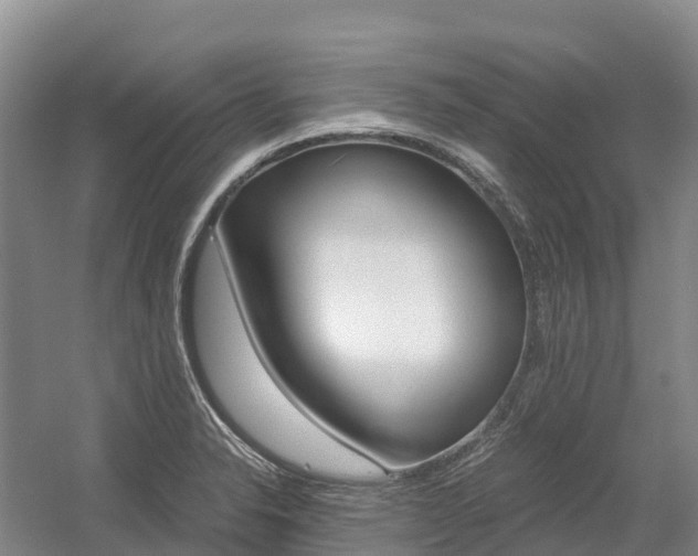 X0000055981326200508190719