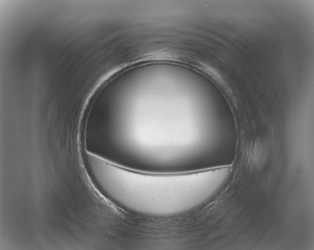 X0000055981331200508190719