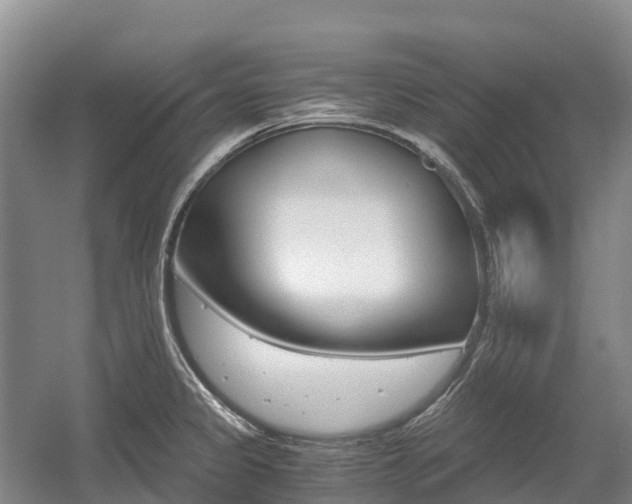 X0000055981333200508190719