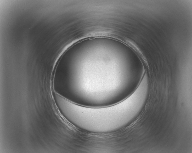 X0000055981340200508190719