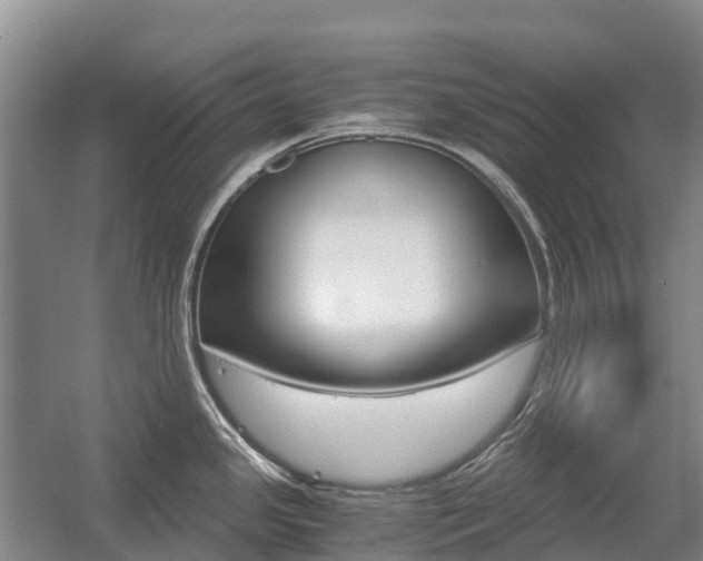 X0000055981341200508190719