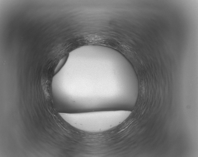 X0000055981346200508190718