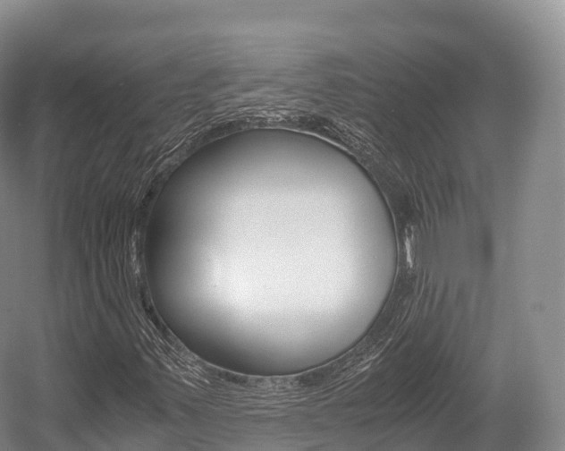 X0000055981347200508190718