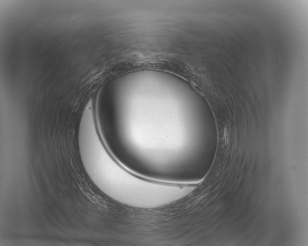 X0000055981348200508190718