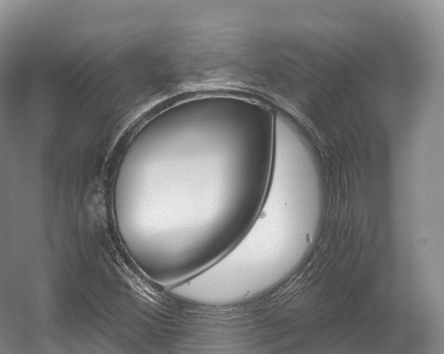 X0000055981356200508190718