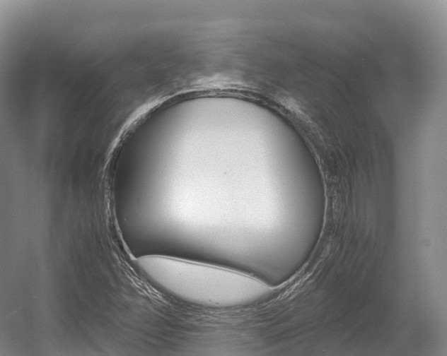 X0000055981358200508190718