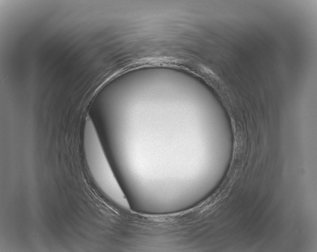 X0000055981361200508190718