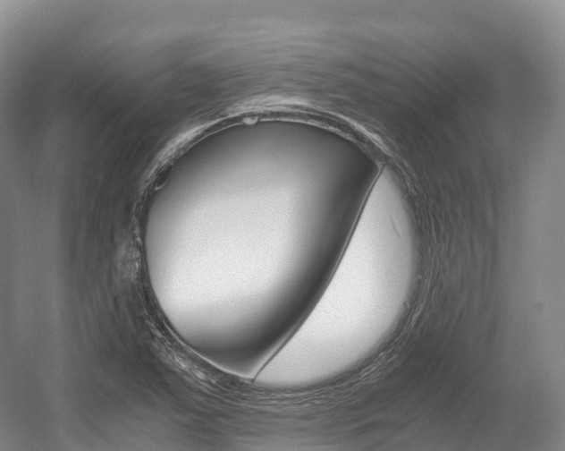 X0000055981363200508190718