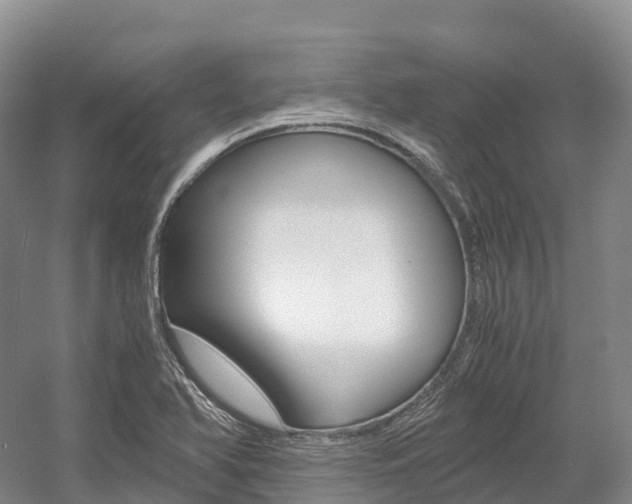 X0000055981366200508190718