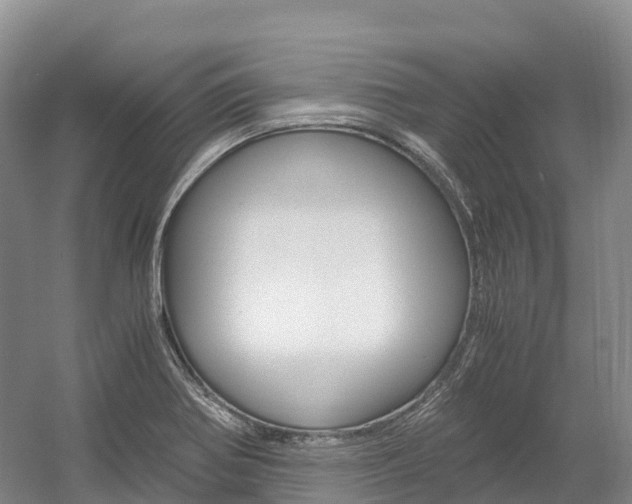 X0000055981370200508190718