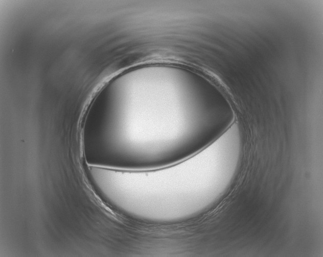 X0000055981371200508190718