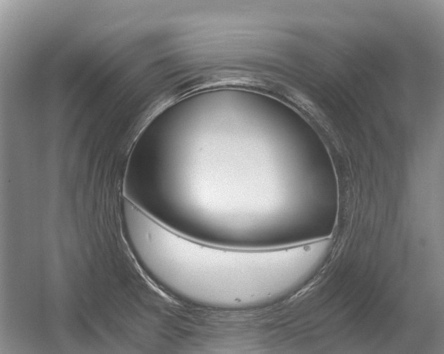 X0000055981377200508190718
