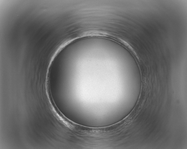 X0000055981379200508190718