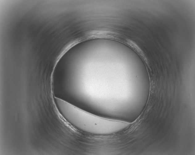 X0000055981386200508190718