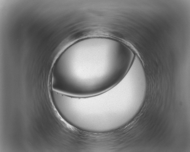 X0000055981387200508190718