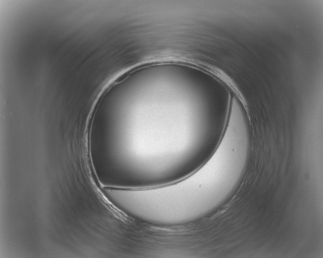 X0000055981388200508190718