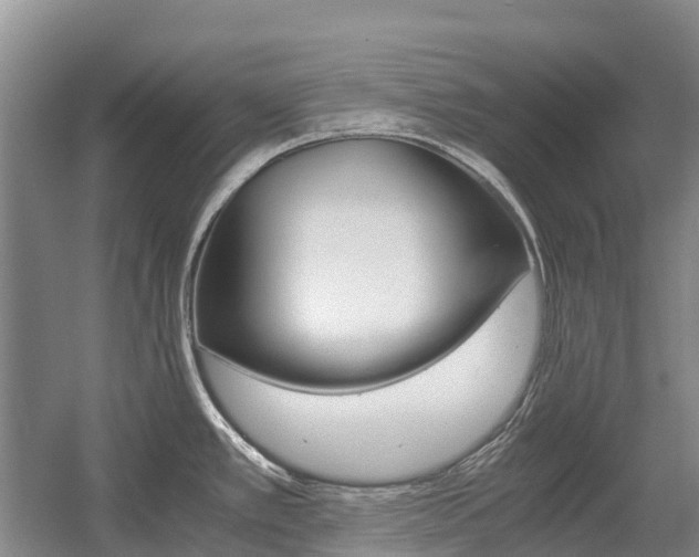 X0000055981389200508190718