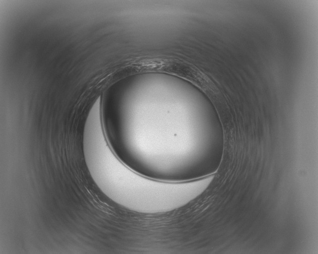 X0000055981394200508190717