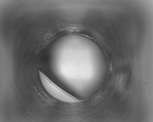 X0000055981396200508190717