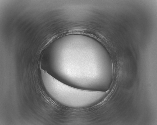 X0000055981401200508190717
