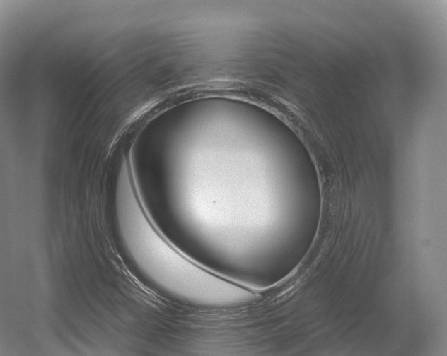 X0000055981402200508190717
