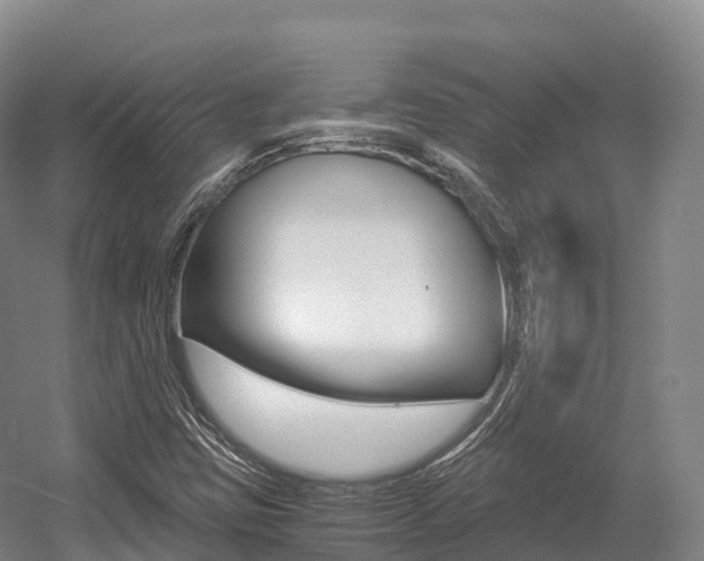 X0000055981403200508190717