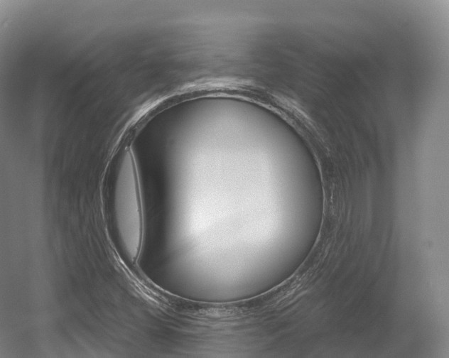 X0000055981404200508190717