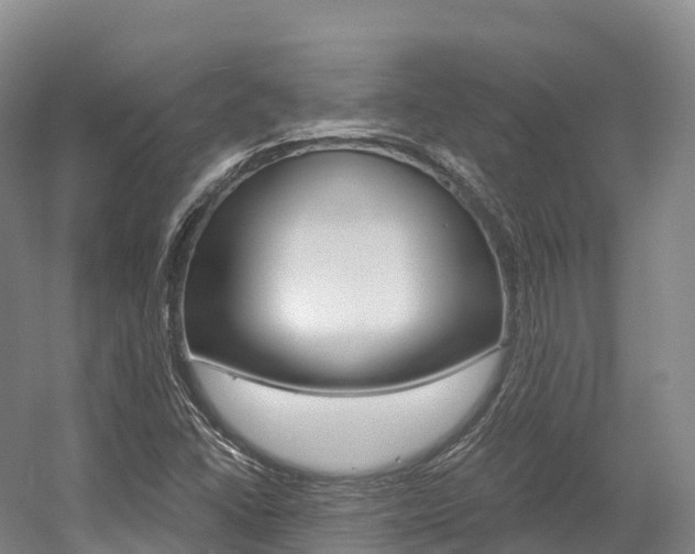 X0000055981406200508190717