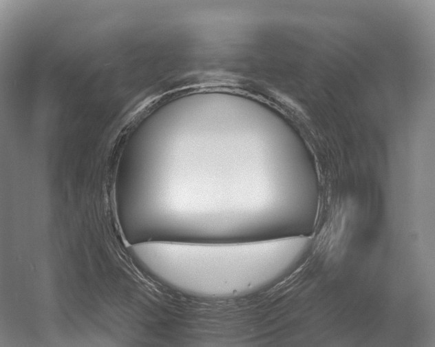 X0000055981407200508190717
