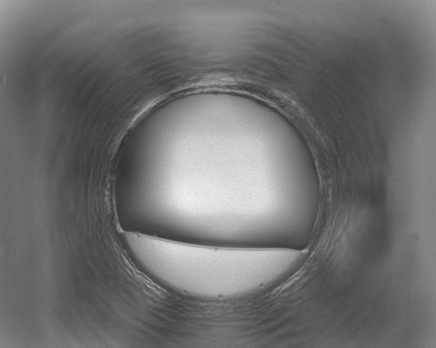 X0000055981409200508190717