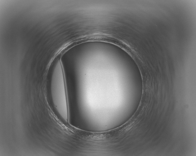 X0000055981410200508190717