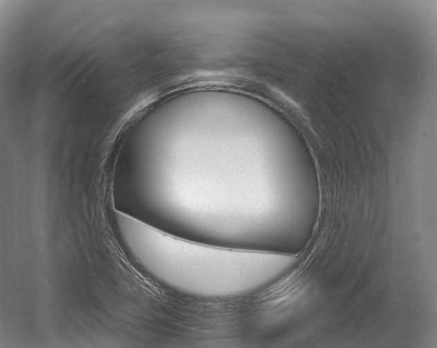 X0000055981411200508190717