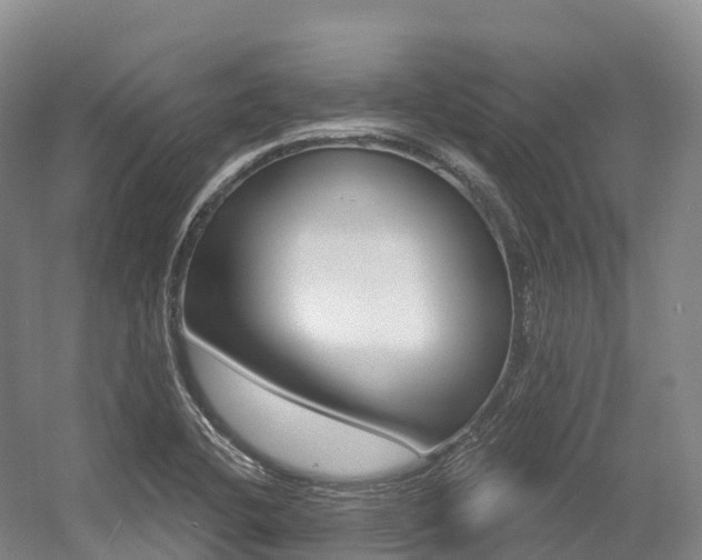 X0000055981412200508190717