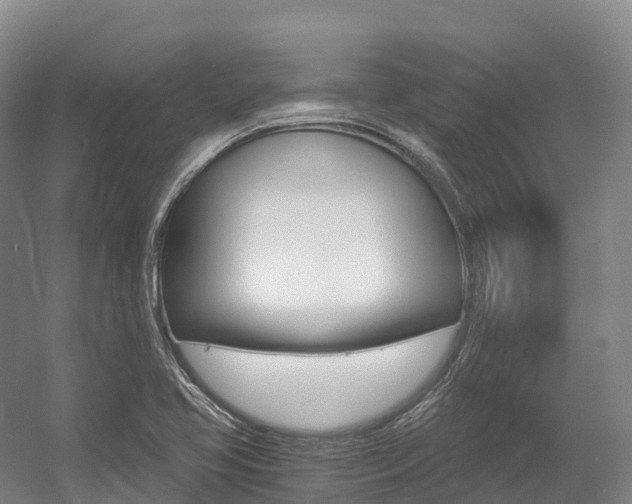 X0000055981413200508190717