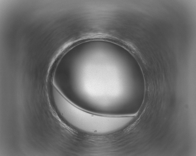 X0000055981414200508190717