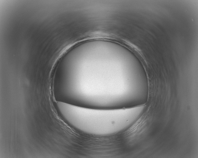 X0000055981415200508190717