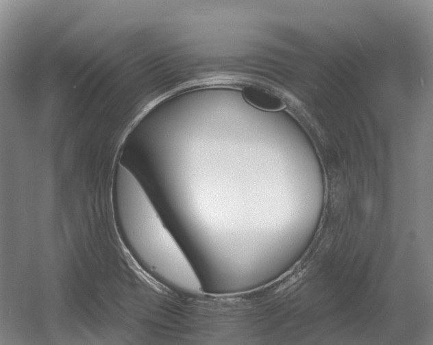 X0000055981417200508190717