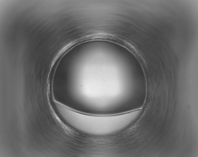 X0000055981418200508190717