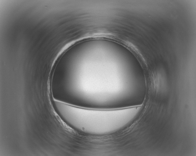 X0000055981420200508190717
