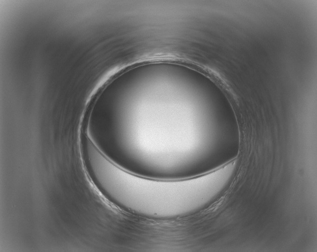 X0000055981422200508190717