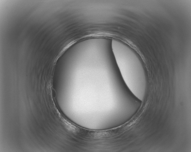 X0000055981425200508190717