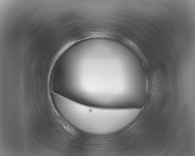 X0000055981427200508190717
