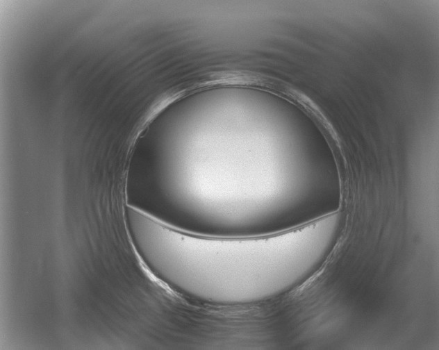 X0000055981433200508190718
