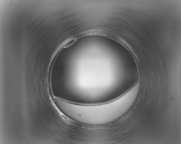 X0000055981434200508190718