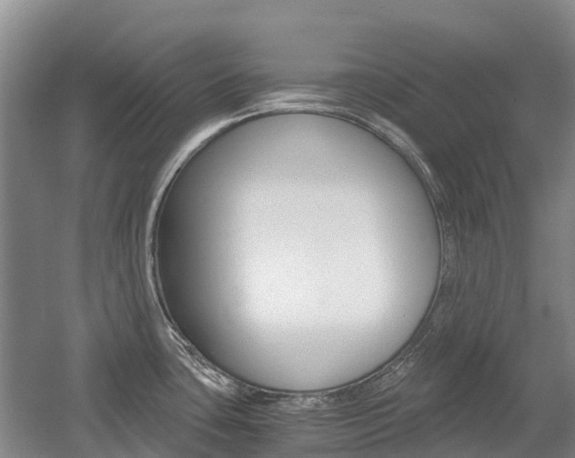 X0000055981435200508190718