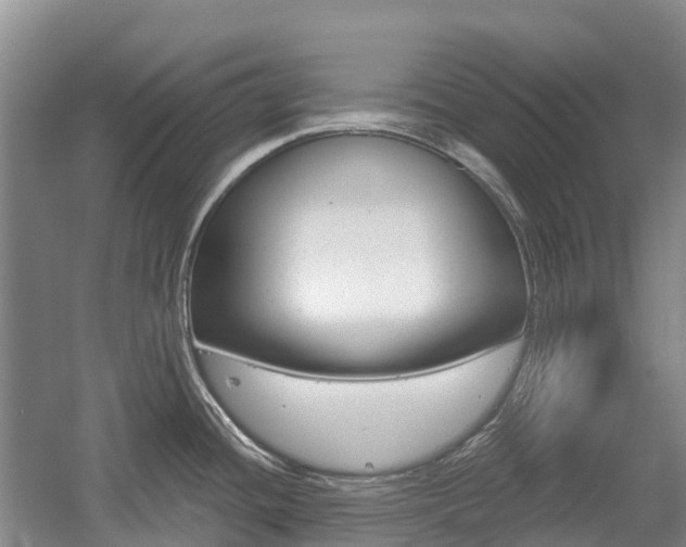 X0000055981436200508190718