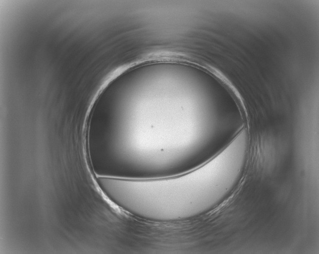 X0000055981437200508190718