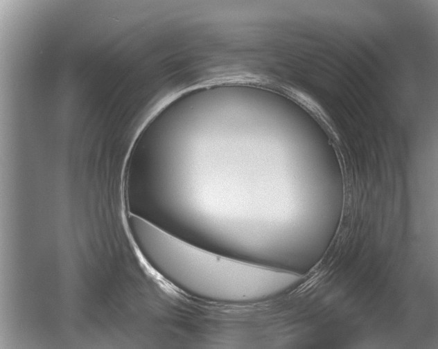 X0000055981439200508190718