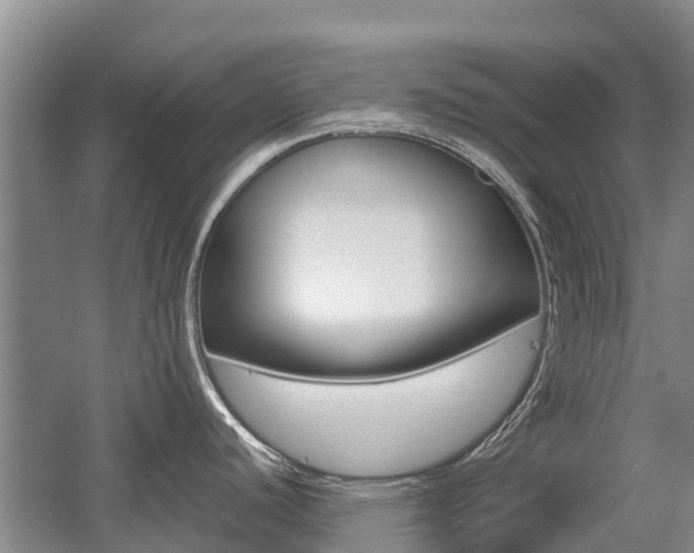 X0000055981440200508190718